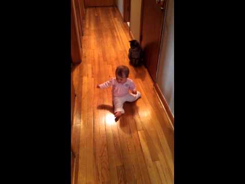 Rayna playing with cats