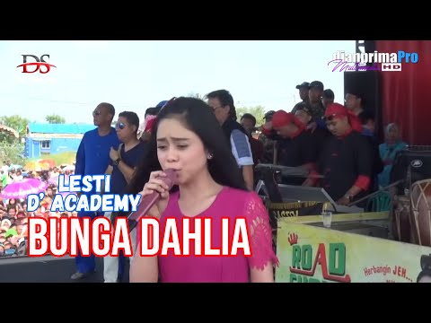 BUNGA DAHLIA - LESTI | KARANGANYAR - INDRAMAYU