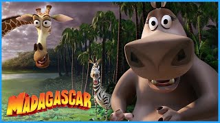 Alright boys, fun's over! | DreamWorks Madagascar
