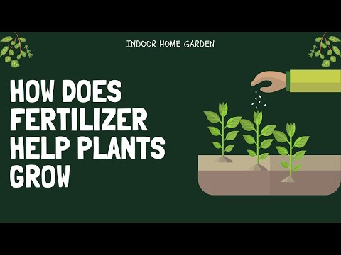 How Does Fertilizer Help Plants Grow?