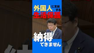 外国人に支給する生活保護には納得できません#shorts