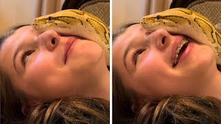 20 Times When Animals Reunited With Owners After Years Make You Cry in a Special Way 2025 #45 MQDEFAULT Thumbnail