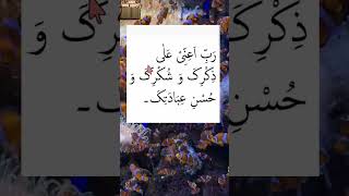 Download lagu Rabbi ainni ala dhikrika wa shukrika wa ḥusni ibadatika | DUA after each SALAH mp3