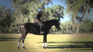 Omega Fields - Linda and Pat Parelli - 1st supplement I felt really excited about!