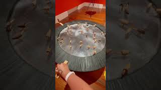 🇧🇸 interactive art, The National Art Gallery of The Bahamas #art #artgallery