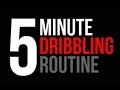 How To: Improve Your Ball Handling - Daily 5 Minute Dribbling Routine - Pro Training
