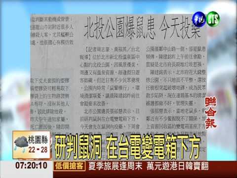 北投公園爆鼠患 今天投藥