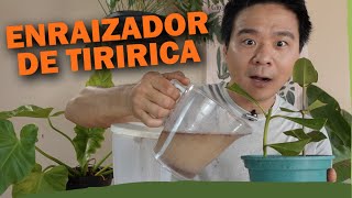 Miniatura do vídeo