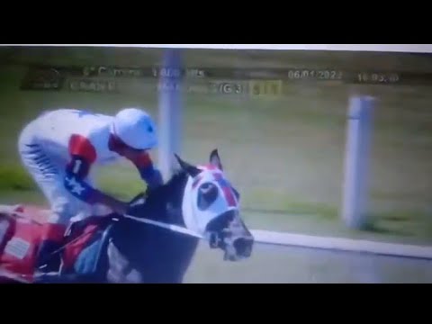 Girona Fever (Texas Fever) Gran Premio Maronas G3 1.000m 57.10