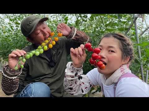 , title : '夏野菜【売上ランキング】農家の直売野菜トップ3　 #1 21/7/5'
