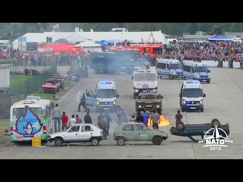 Dny NATO 2015 - pořádkové jednotky