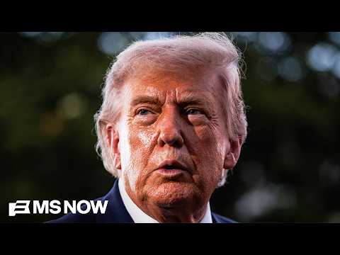 'OBVIOUSLY illegal': Ex-Trump staffer SHREDS Trump's $1.8B fund, says it'll be 'DECIMATED' in court