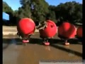 Funny Water Accidents
