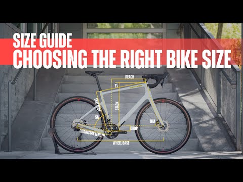 Stuck Between Sizes? Choosing The Right Bike Size | Contender Bicycles