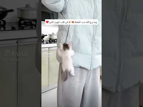 ❤️❤️❤️ #اكسبلور #اهميه #اهميه #دويتو