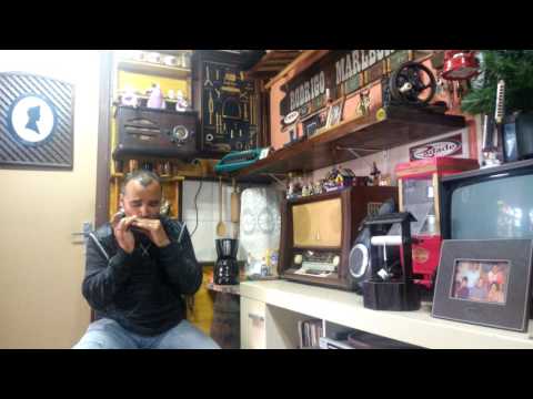 Carinhoso,interpretada pelo aluno Fernando Zzaguini. Rancho da Gaita CWB