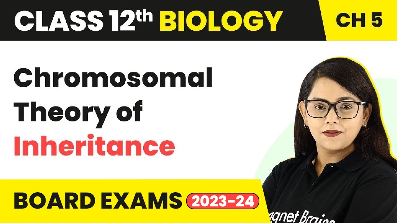 Class 12 Biology Ch5 |Chromosomal Theory of Inheritance-Principles of Inheritance &Variation 2022-23
