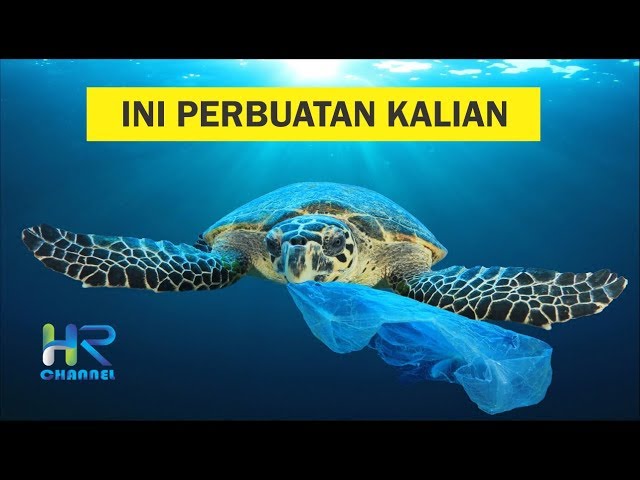 Videouttalande av dampak Indonesiska