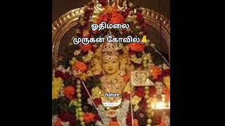 24 October 2025🙏❤️👍#Othimalai Murugan Temple#Murugan#Om Muruga Pottri#viralvedio#shorts#short#yts...