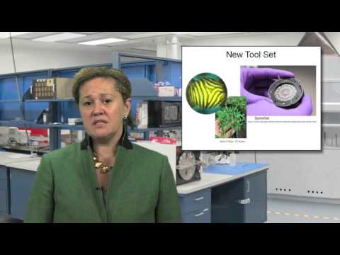 nanoHUB-U Biological Engineering: Cellular Design Principles (Trailer)