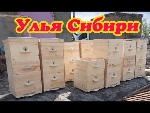 Видеообзор улья на пасеке у Владимира Рябухина
