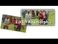 2 35 1 Cinemascope Panavision Anamorphic Aspect Ratio Tutorial