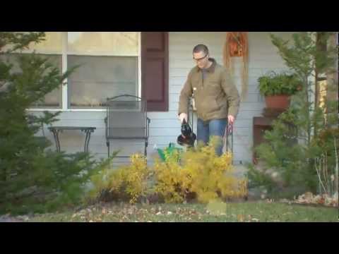 Toro® Super Blower Vac Overview