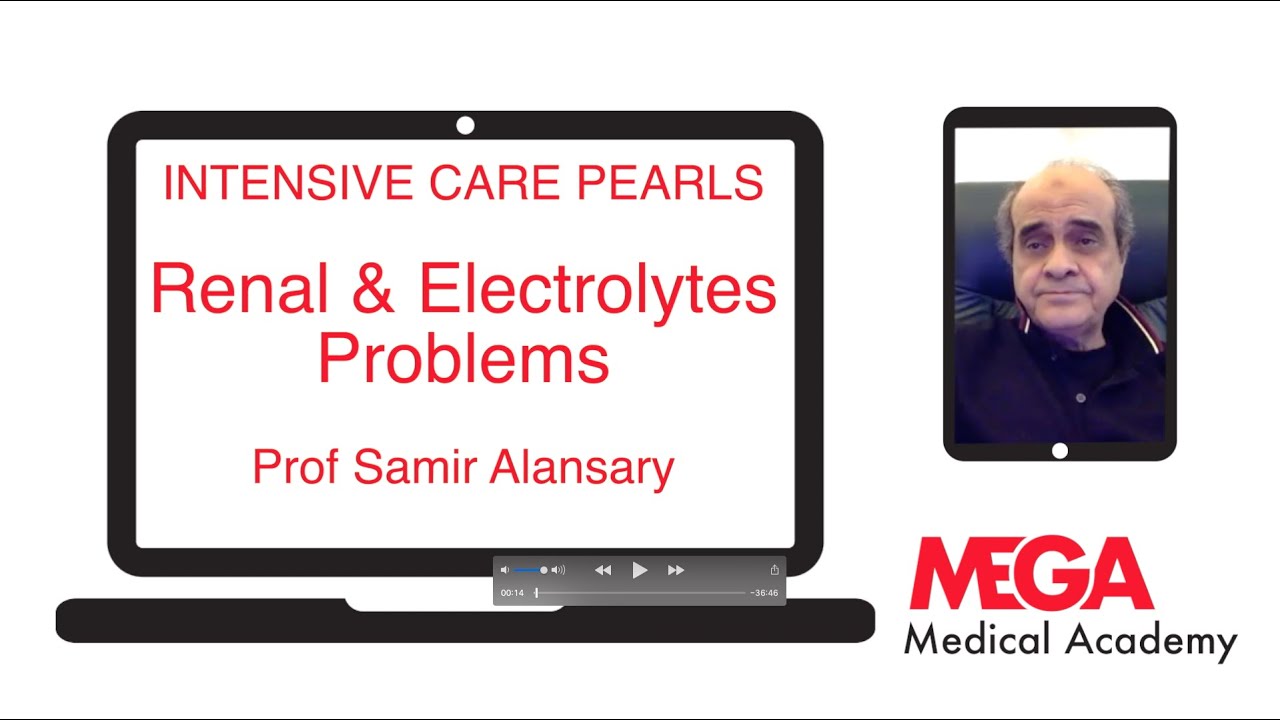 INTENSIVE CARE PERALS Renal & Electrolytes Problems