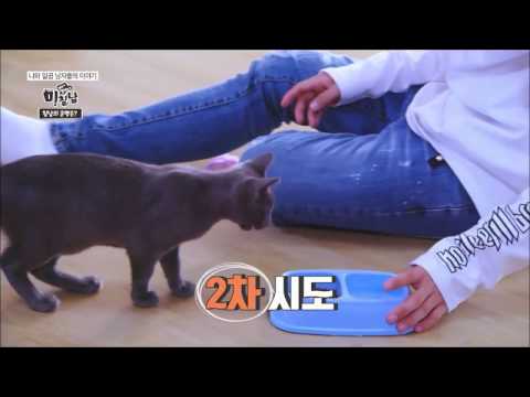 (빅톤) Do Hanse VS Jaws