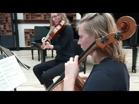 Promotional video thumbnail 3 for The Primo Strings