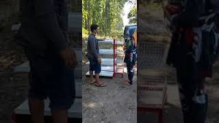 Jual rak gondola bekas