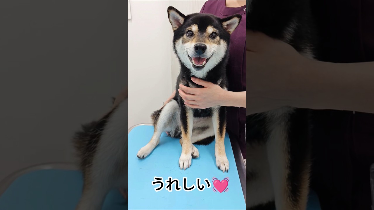 【娘の診察の様子】