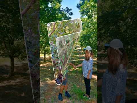 Caí  no turismo rural  visita  dos alunos do Senar .  visite venha turistas  51 9 7400 1046