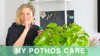 My Pothos Plant Care - Green Moments With Juliette Ep #12
