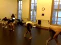 All Time Low Dance Rehearsals: Spring Fever On ...