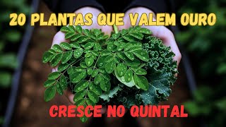 As 20 Plantas Que Ninguém Planta Mas Todo Mundo Quer Comprar 