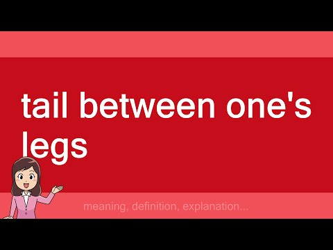 tail between one's legs