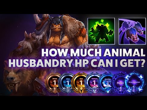 Rexxar Boars - HOW MUCH ANIMAL HUSBANDRY HP CAN I GET? -  Hardstuck Bronze 5 Adventures 2022