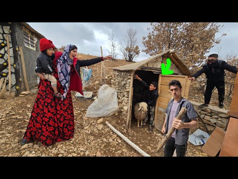 From Fear to Forgiveness ❄️ A Nomadic Mother’s Unexpected Compassion