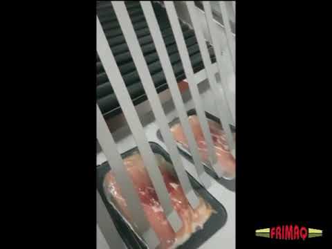 Frimaq Model TSA-826 Automatic Tray Sealing Machine