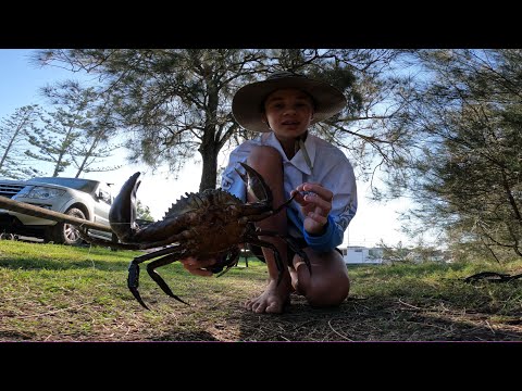 Monster Mud Crab Catch and Cook
