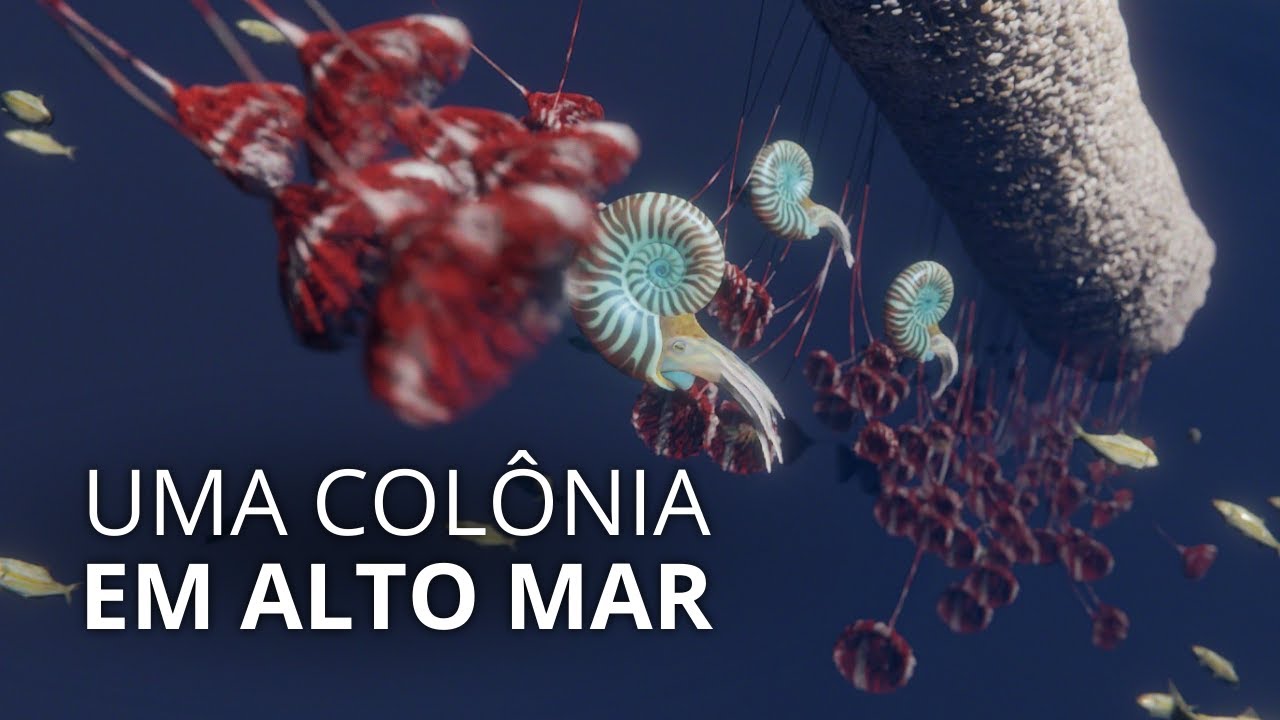 Hauff's crinoids: the most beautiful fossils in the world