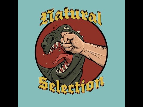 Heroic Twin Ogron (Phemos and Pol) Guardian Druid PoV, Natural Selection of Area 52