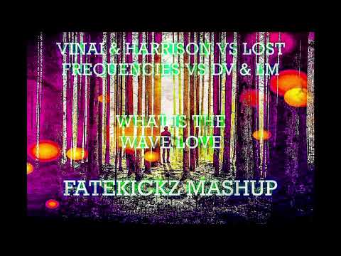 Vinai & Harrison Vs. Lost Frequencies Vs. Dv & Lm - What Is The Wave Love (Fatekickz Mashup)