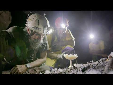 Palawan, la rivière souterraine la plus longue du monde