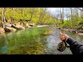 3 Days Of INCREDIBLE FLY FISHING BIG Brown Brook And Rainbow Trout