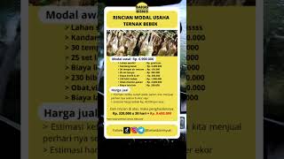 Download lagu Rincian modal usaha ternak bebek mp3