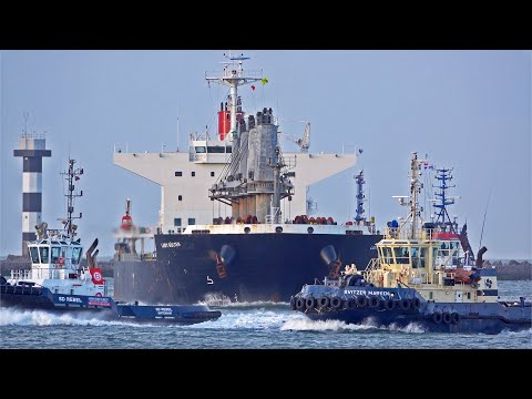 CRUDE OIL TANKER "MONTE ULIA" LEAVES ROTTERDAM PORT + MORE BIG SHIPS - 4K SHIPSPOTTING NOVEMBER 2022