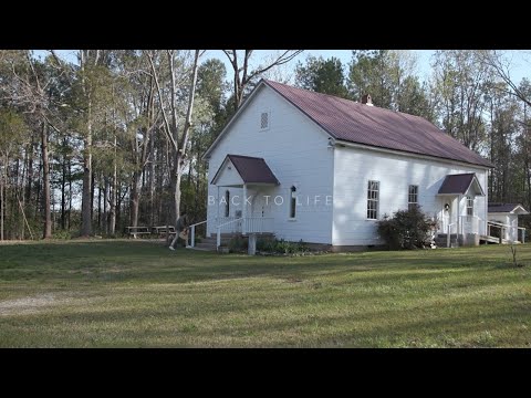 Back To Life Music Video by Justin Warren