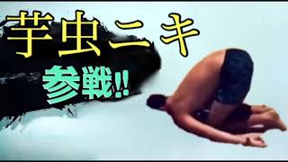 海外勢参戦